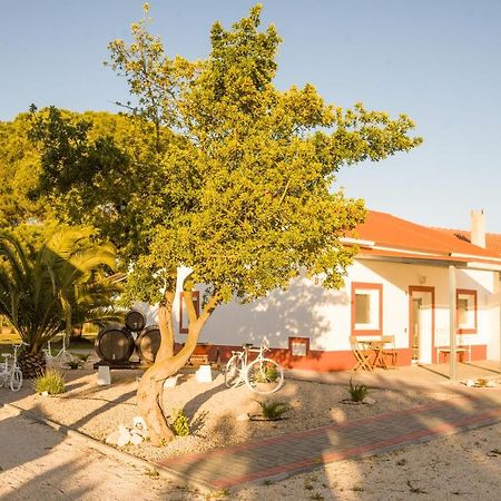 Casa Das Pipas #4 Pinhal Novo Eksteriør billede